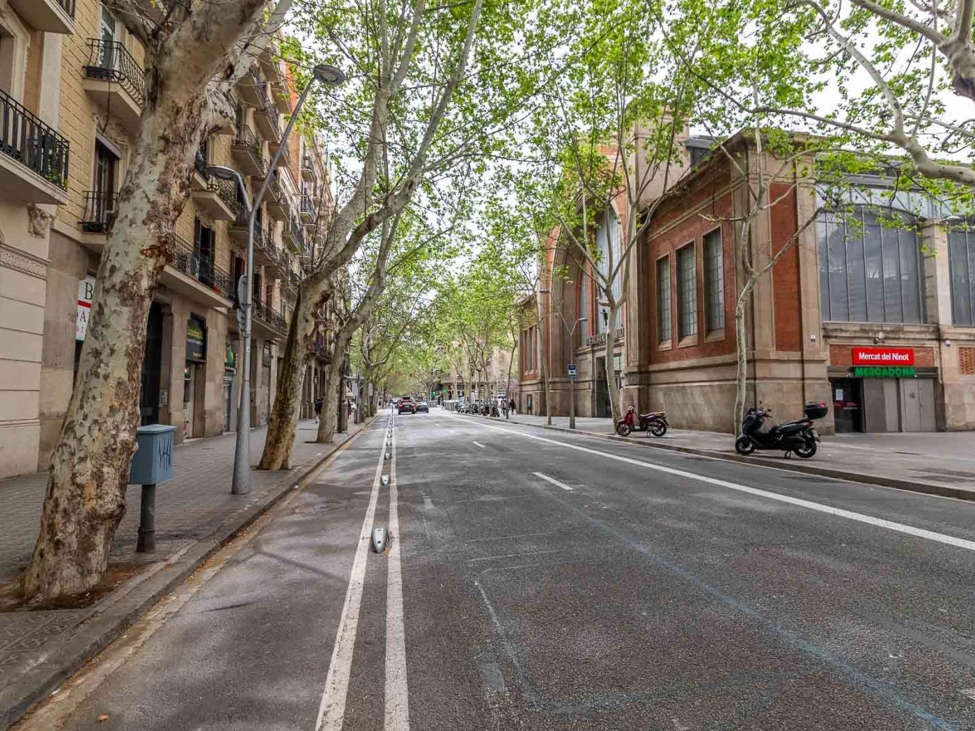 Spacious and modern apartment near the Hospital Clinic - My Space Barcelona Apartments